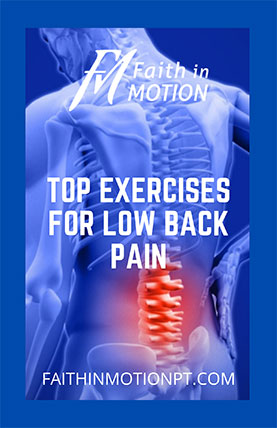 Top Exercises for Low Back Pain